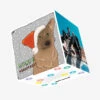 Kiwi Merry Christmas German Shepherd Confetti-exploding Greetings Card -Christmas Gifts Store 0f9038085ccaecf739cb9ffe6f28c753