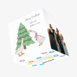 Ducks Merry Christmas Sister And Brother-in-law Confetti-exploding Greetings Card