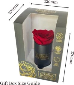 Everlasting Single Vintage Pink Rose Box -Christmas Gifts Store 61ywj8G834L. AC SL1080 92a8ece6 ffa3 4c35 ba5e a88a388fbb05