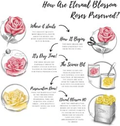 Everlasting Single Long Stem Royal Blue Rose -Christmas Gifts Store 71B0FTRPzAL. AC SL1080 8517b855 93b9 4f6f 8326 df5fc926f115