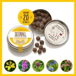 Seedball 3 Tin Giftbox -Christmas Gifts Store 815rU8sz2kL. AC SL1500