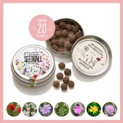 Seedball 3 Tin Giftbox -Christmas Gifts Store 81BenTDlCbL. AC SL1500