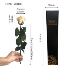 Everlasting Single Long Stem Classic Champagne Rose -Christmas Gifts Store IMG 3481