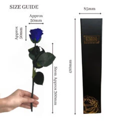 Everlasting Single Long Stem Royal Blue Rose -Christmas Gifts Store IMG 3655