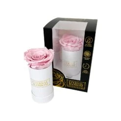 Everlasting Single Vintage Pink Rose Box