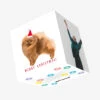 Merry Christmas Cute Pomeranian Confetti-exploding Greetings Card 1 Merry Christmas Cute Pomeranian Confetti-exploding Greetings Card -Christmas Gifts Store a64237b53ed2c89eb3cb9124798a009e